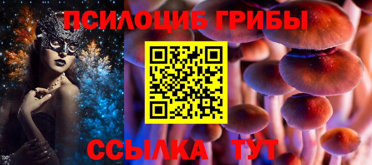 Галлюциногенные грибы GOLDEN TEACHER  Вход с VPN  Псилоцибиновые грибы мицелий  Новомосковск 